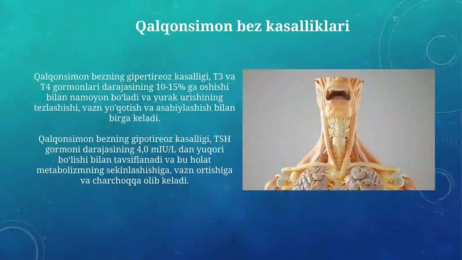 Endokrin sistemasi anatomiyasi 4
