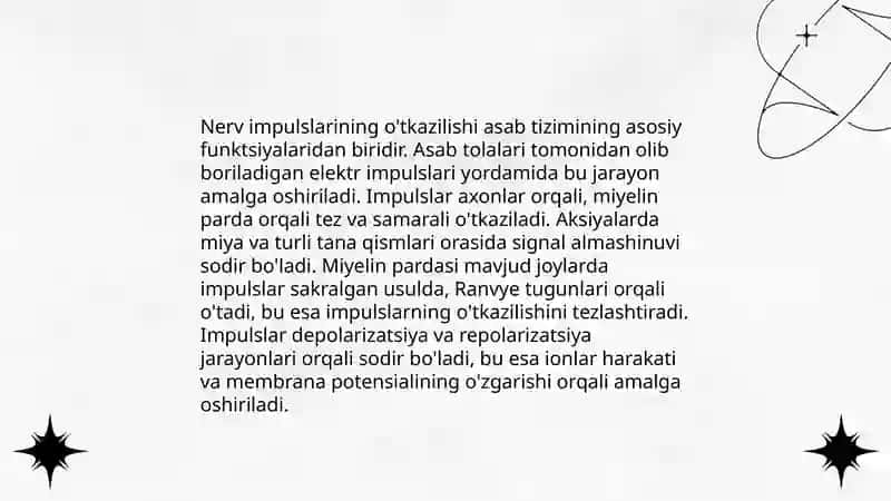 Neyronlar tuzilishi 4