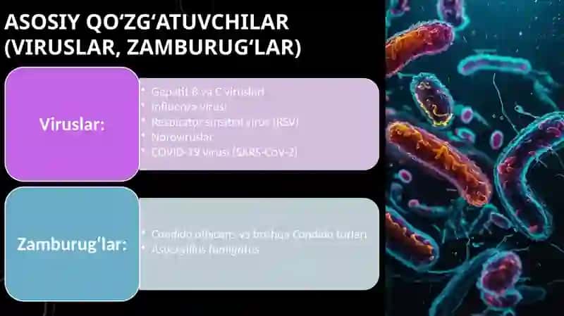 Kasalxona ichida tarqaluvchi (yatrogen) yuqumli kasalliklar. 4