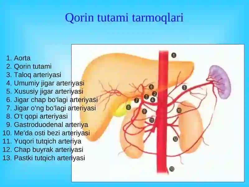 Me'da osti bezi kasalliklari 4