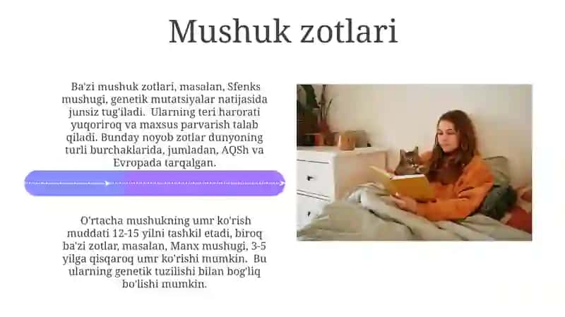Mushuklar haqidagi maʼlumotlar 4