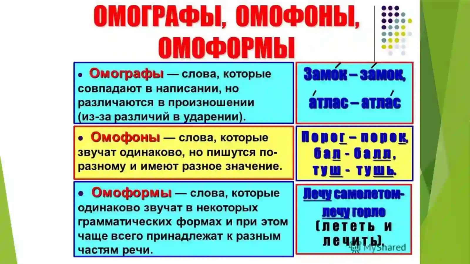 Антонимы. Синонимы. Омонимы. Паронимы 4