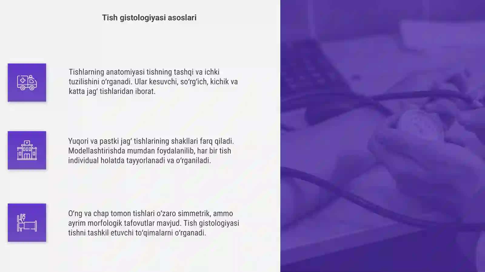 Tishlarning anatomiyasi va gistologiyasi 4