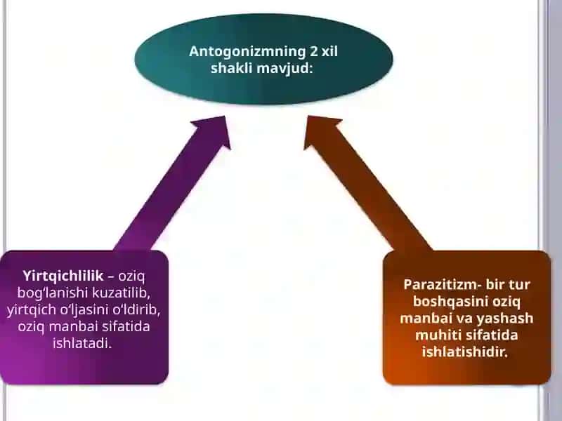Tibbiy Parazitologiya 4