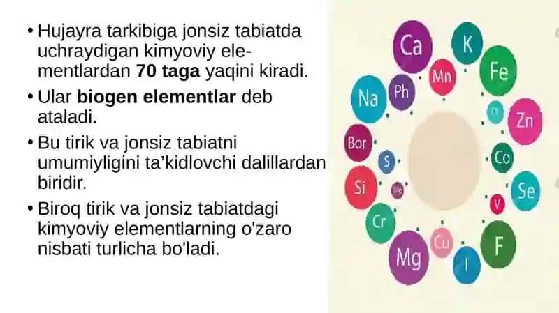 Hujayraning kimyoviy tarkibi 4