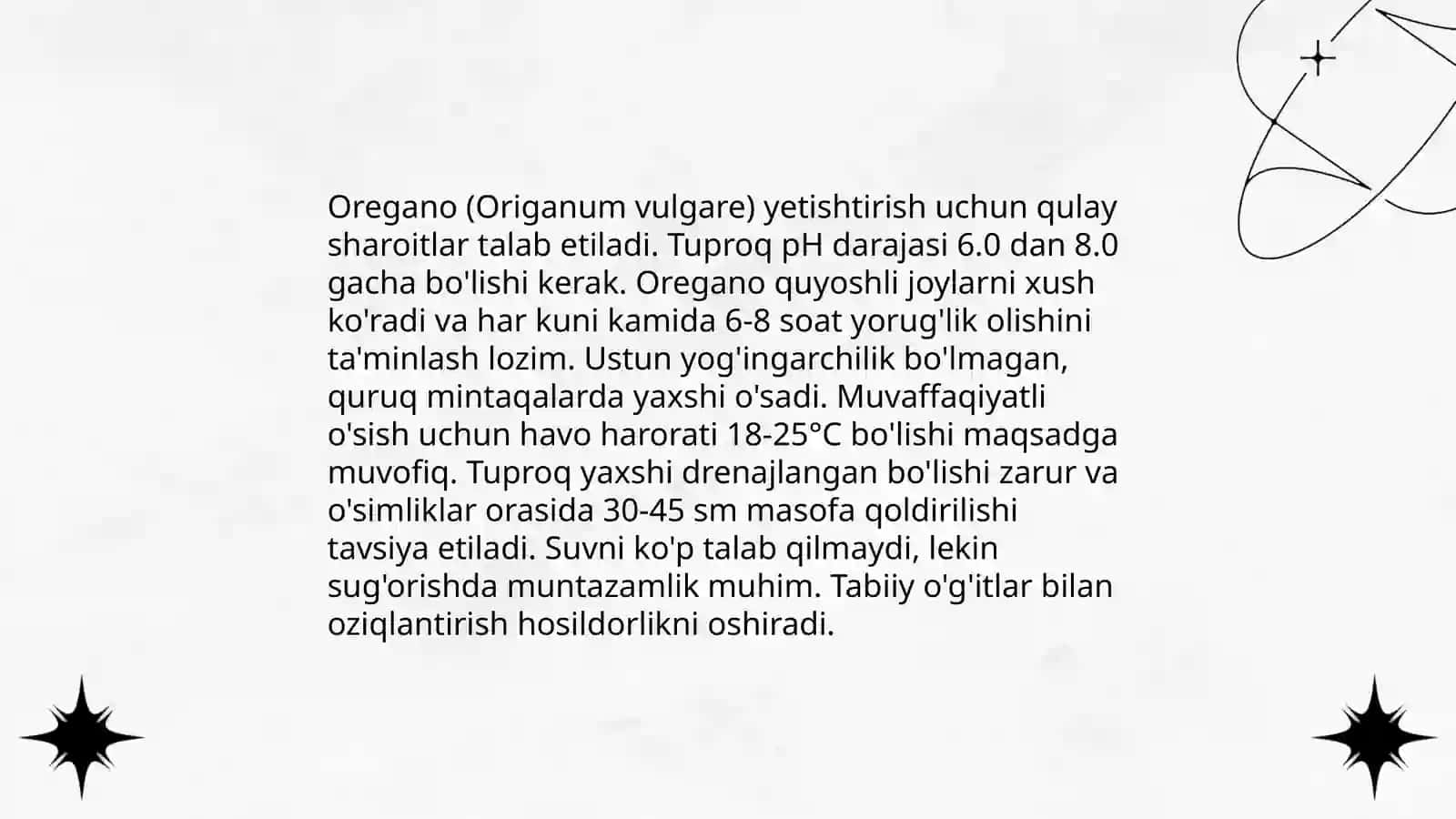 Oregano o'simlik haqida ma'lumot 4
