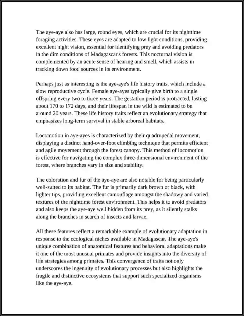 Aye-aye Anatomy and Unique Adaptations 4