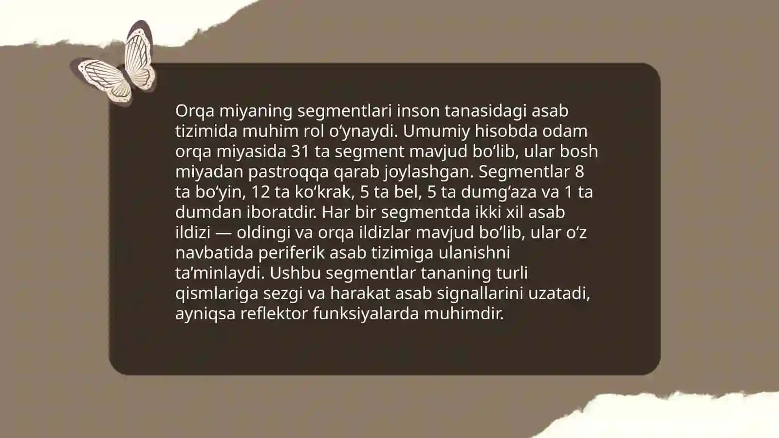 Orqa miyaning tuzulishi 4