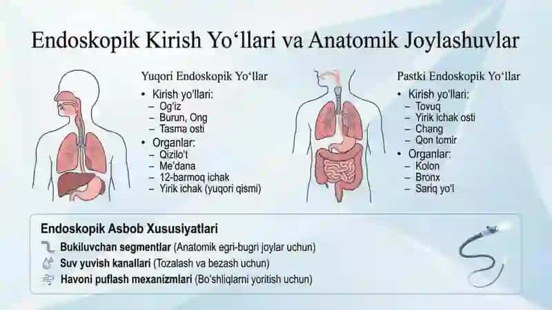 Tibbiyotda endoskopik usullarning qoʻllanishi 4