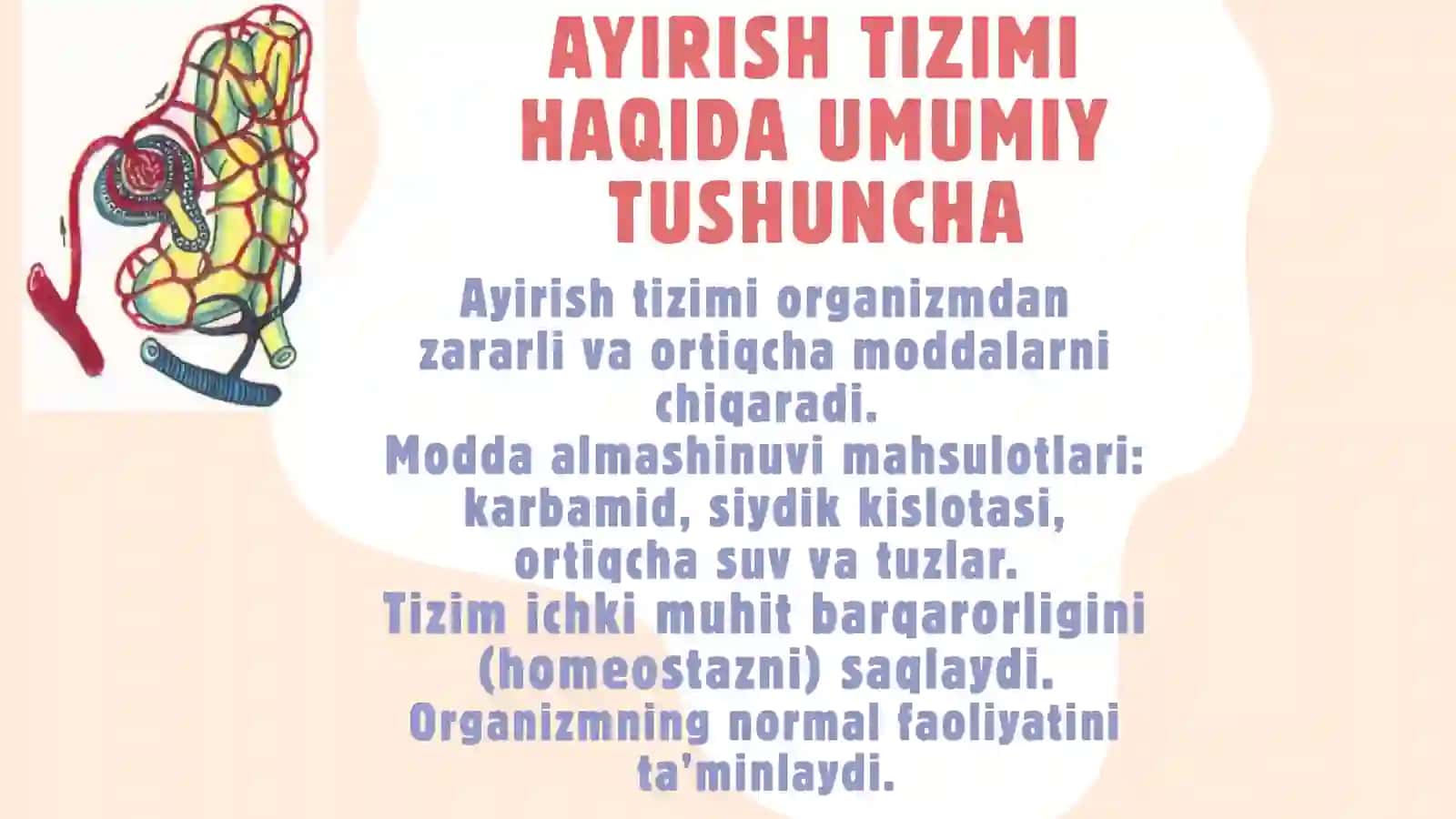 Ayirish tizimi haqida umumiy tushuncha 4