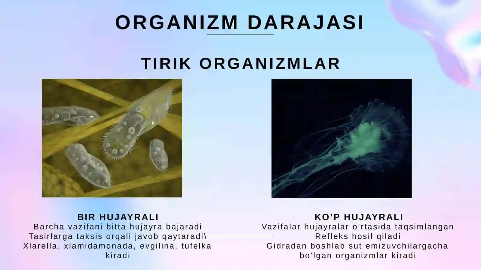 Hayotning tuzilish darajalari 4