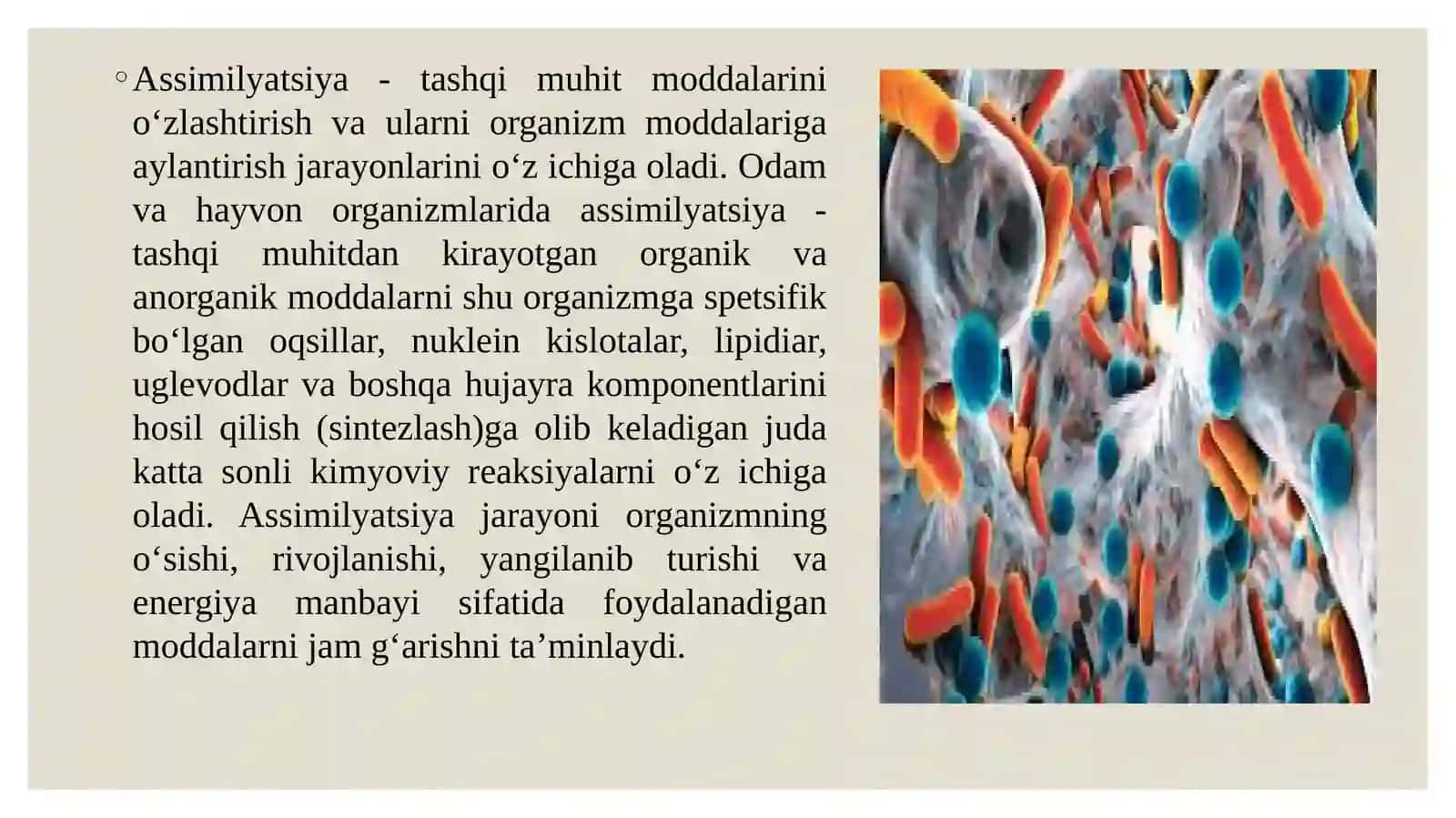 MODDALAR ALMASHINUVINING UMUMIY QONUNIYATLARI 4