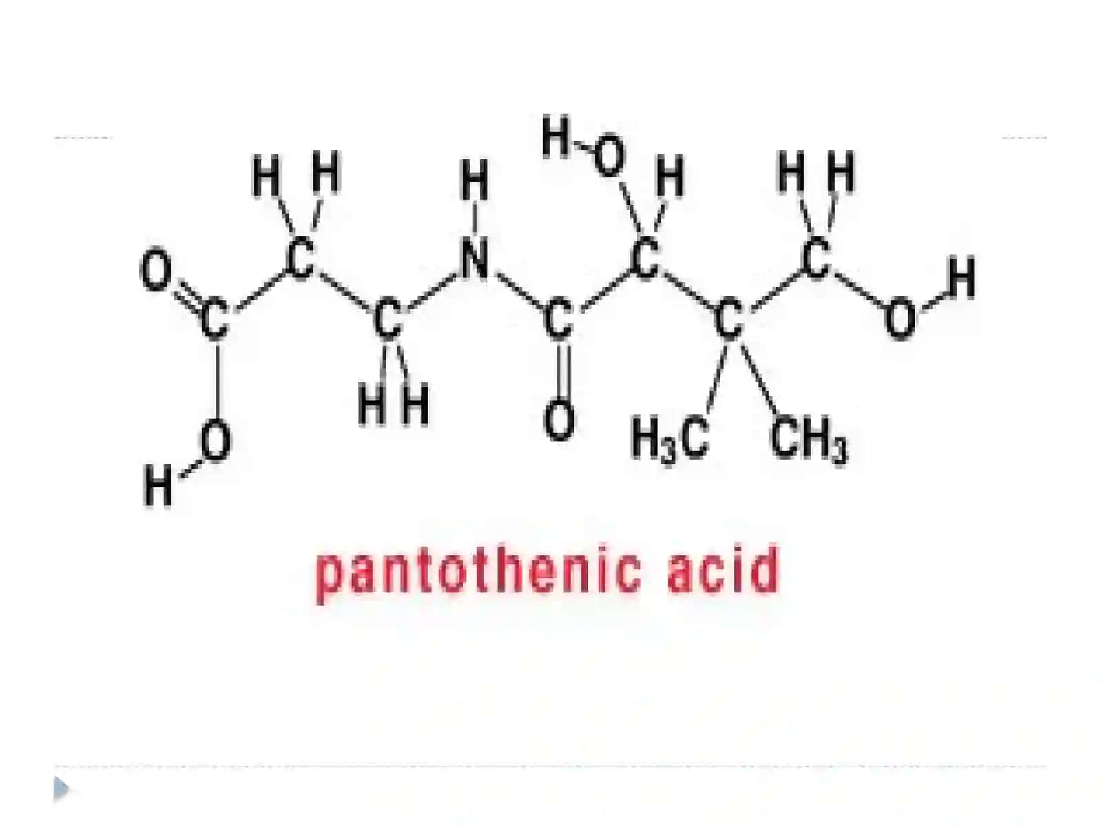 PANTOTENIK KISLOTA (B5VITAMINI) 4