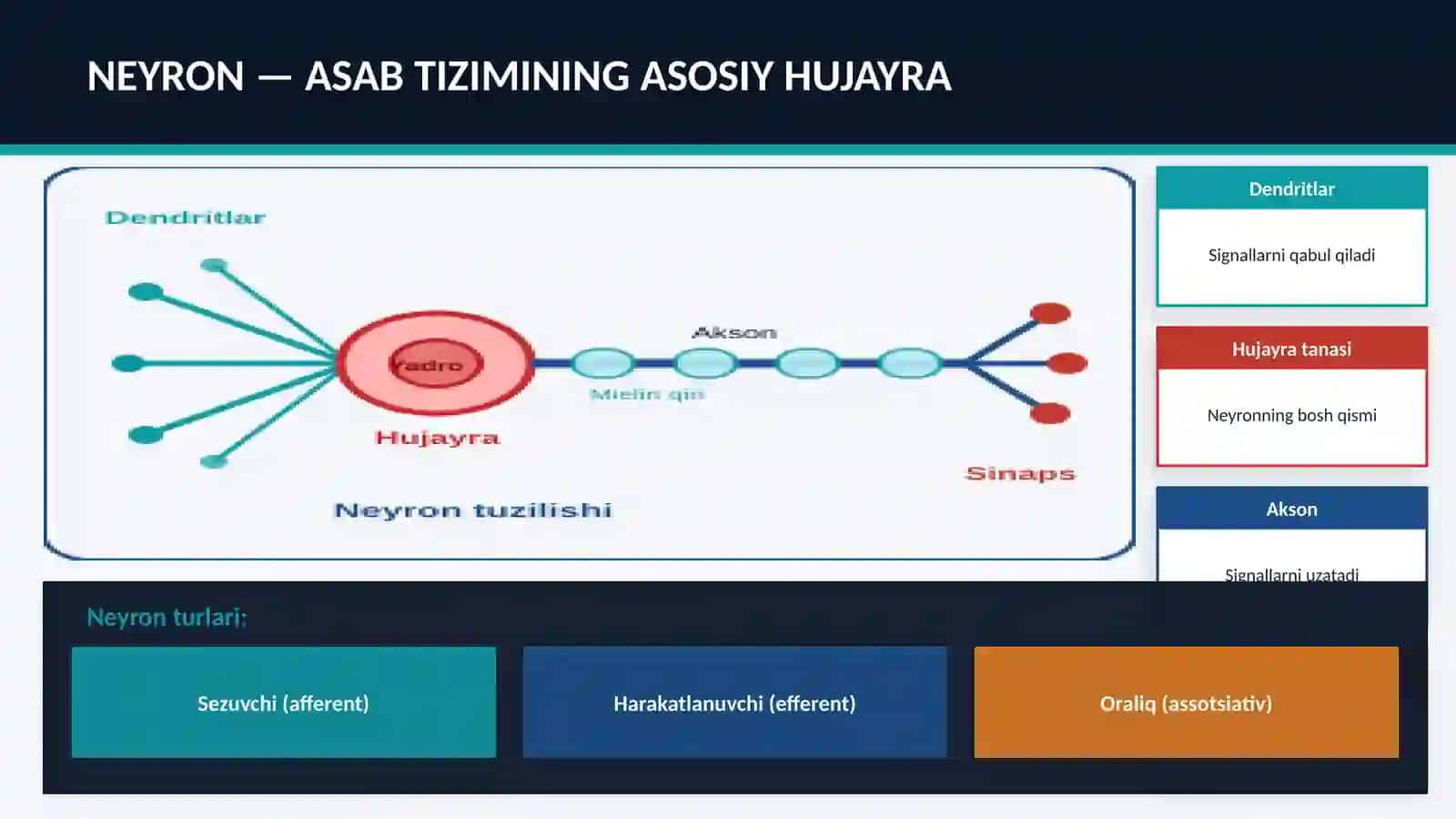 Harakat va Sezgi buzilishlari New 4