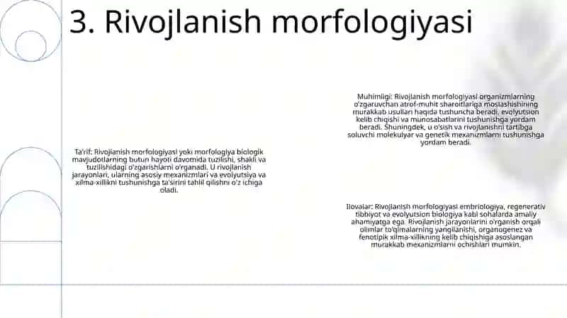 Morfologiya 4