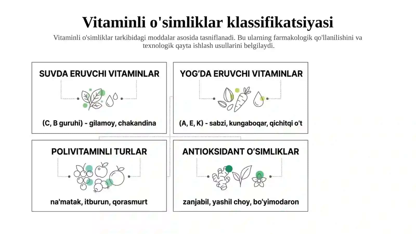 Vitaminli dorivor o'simliklarning ahamiyati 4