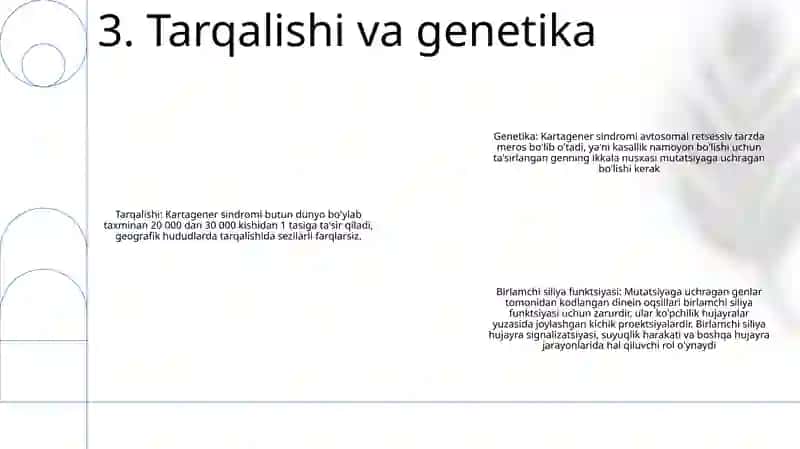Kartagener Sindromi 4
