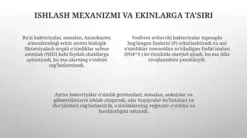 Bakterial o'g'itlar va ularning qo'llanilishi 4