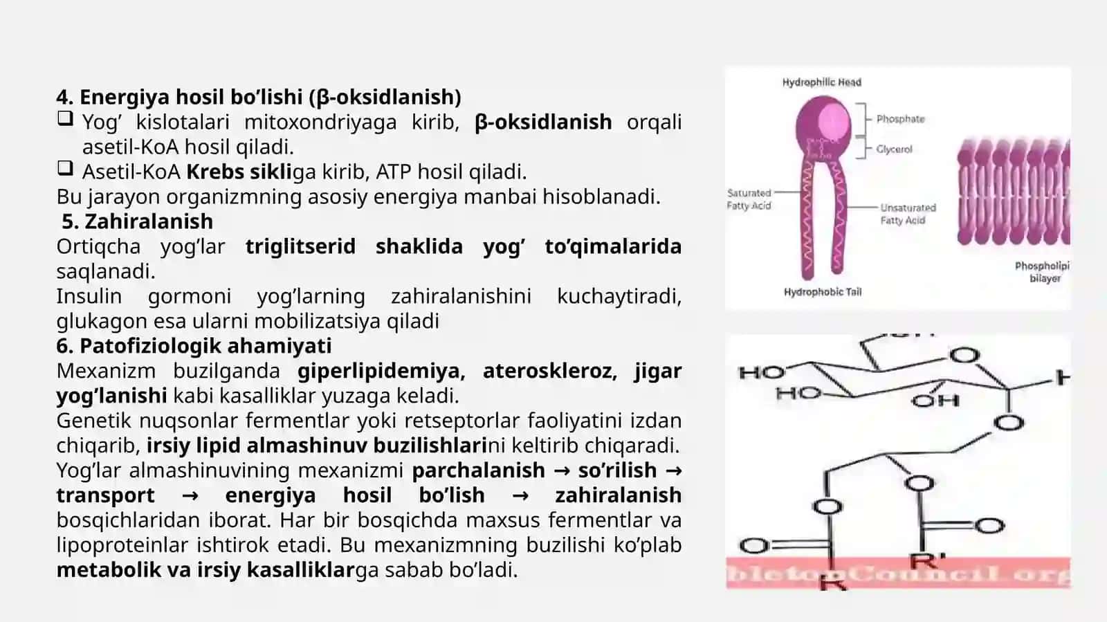 Yogʼlar almashinuvining irsiy buzilishlari 4