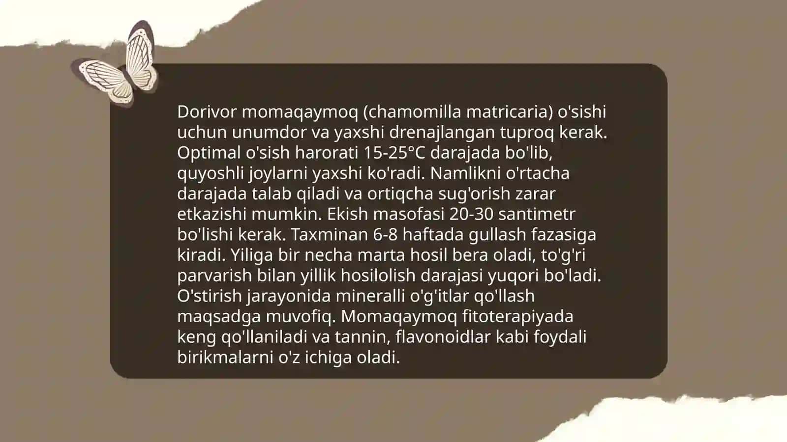 Dorivor Momaqaymoq (Taraxacum officinale) 4
