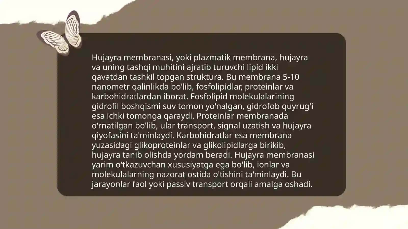 Hujayra 4