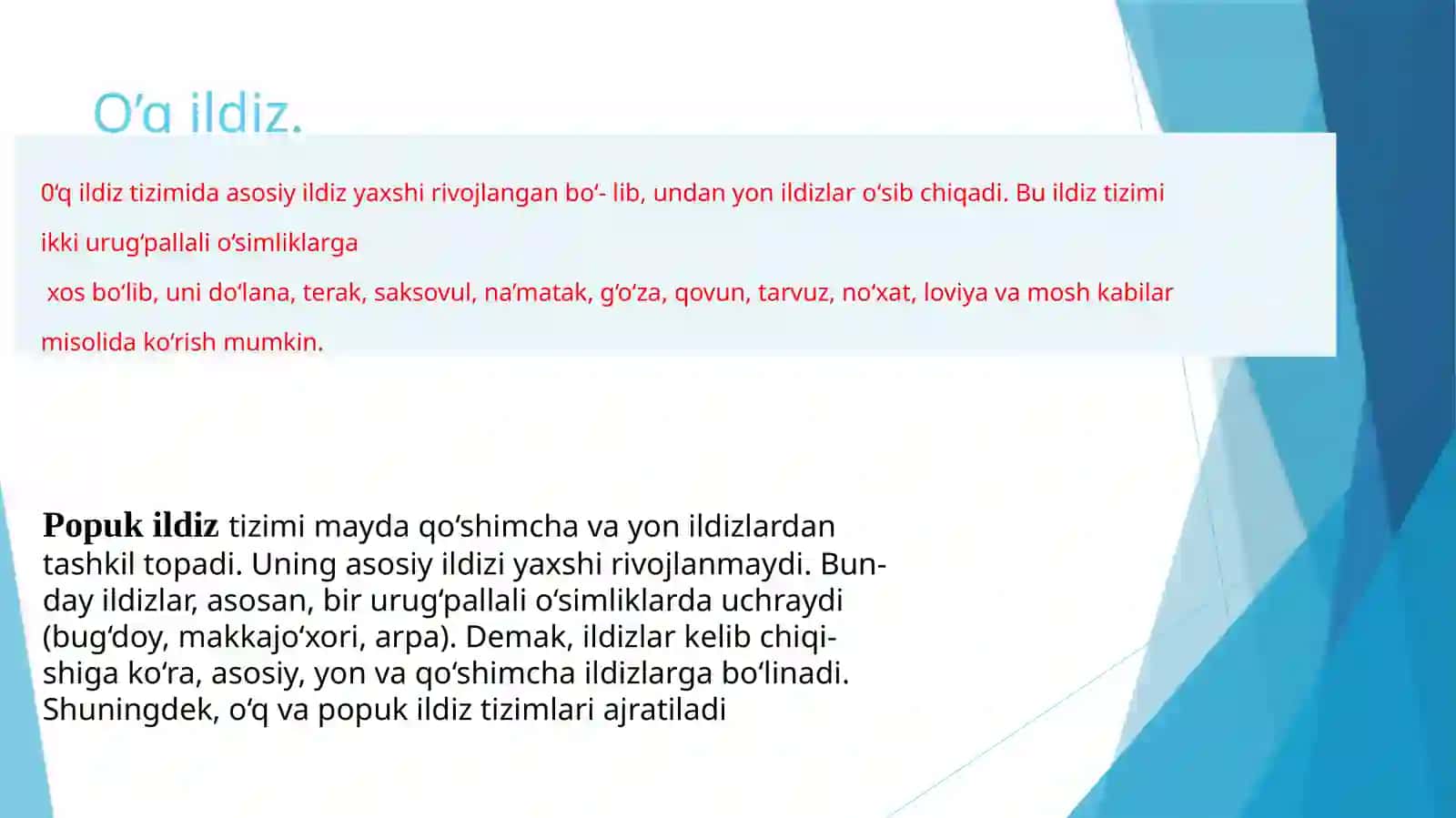 ILDIZvaUNING TURLARI 4