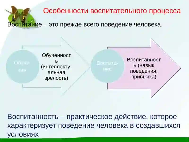 Особенности воспитательного процесса 4