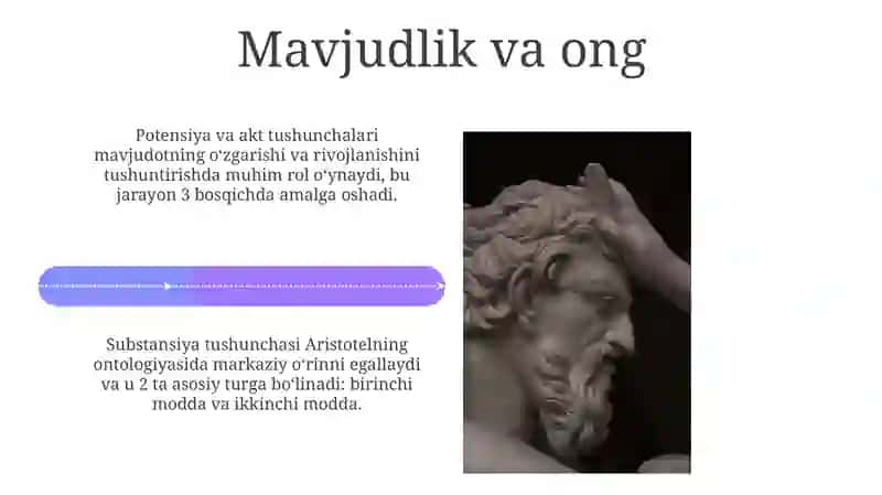 Aristotelning borliq toʻgʻrisidagi taʼlimoti 4