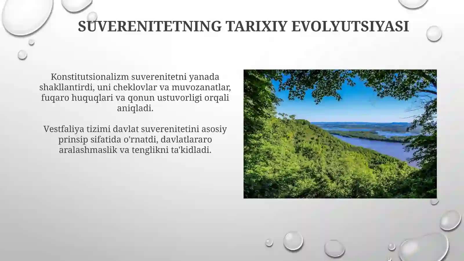 Davlat suvereniteti va uning konstitutsiyaviy asoslari 4