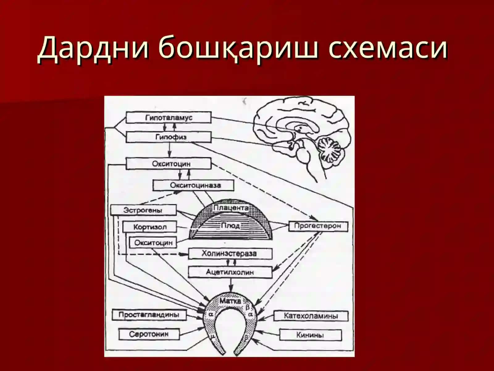 ДАРД ТУТИШНУКСОНЛАРИ 4