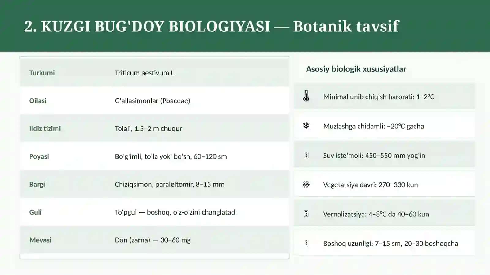 KUZGI BUG'DOY YETISHTIRISH TEXNOLOGIYASI 4