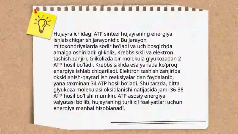 Hujayra energiyasi va metabolik jarayonlar 4