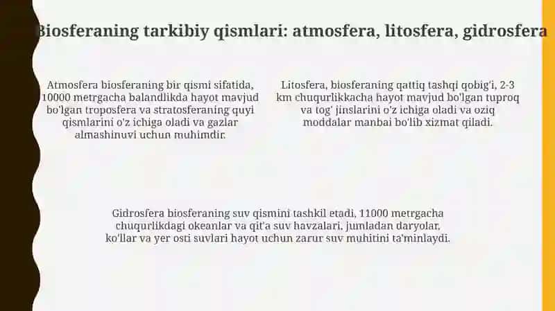 Beosfera. Tuzilishi va vazifasi 4