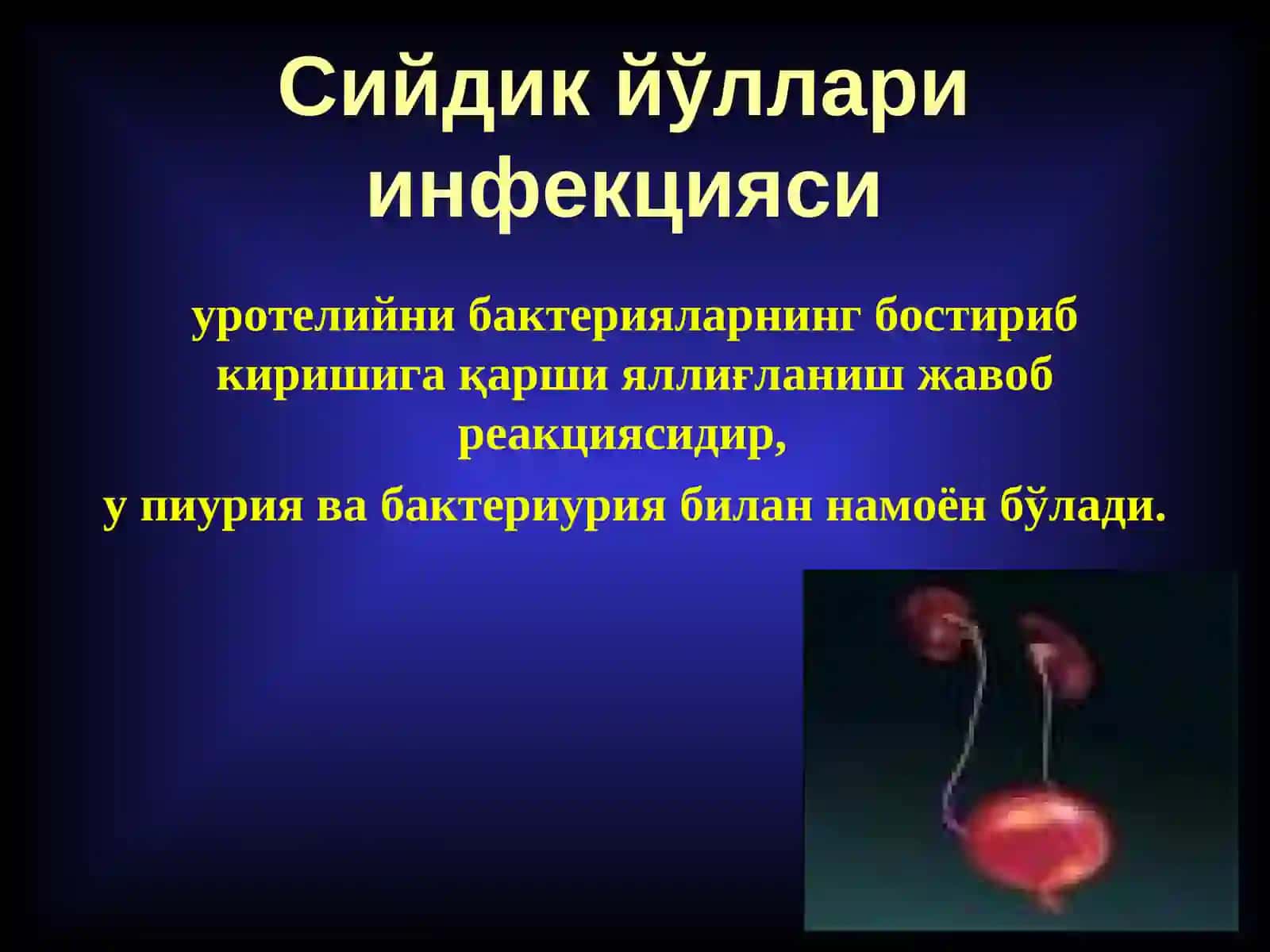Сийдик йўллари инфекцияси 4