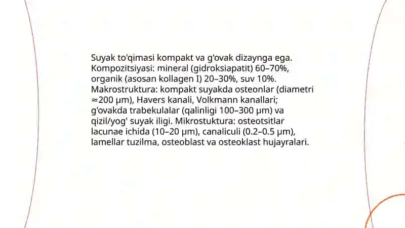 Skelet va boylamlar 4