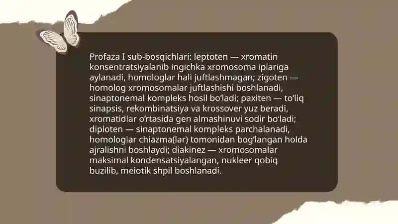 Meyoz 1,Meyoz 2 bosqichlari 4