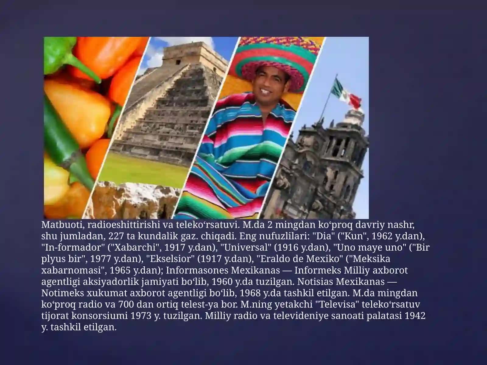 Meksika davlatida ta’lim tizimi 4
