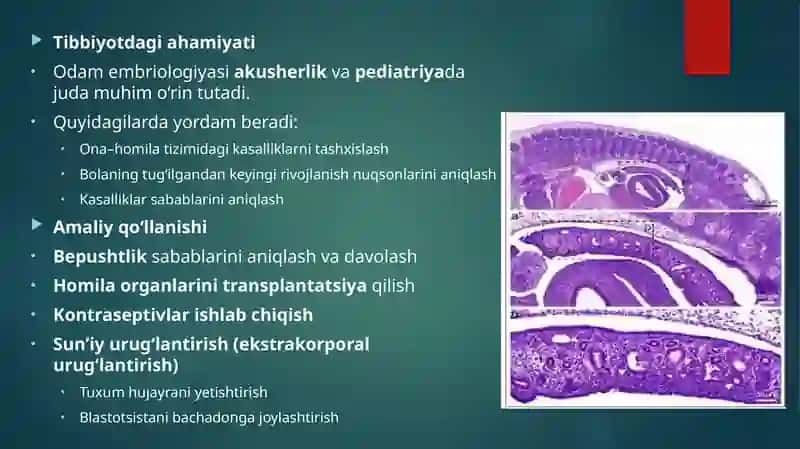 odam embriologiyasi 4