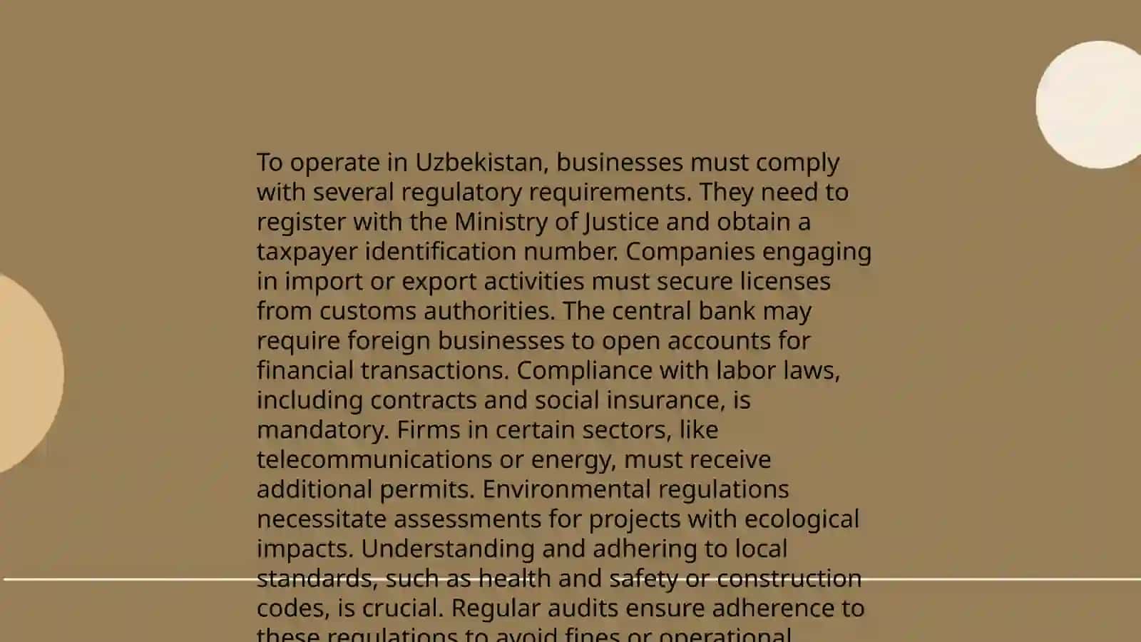 Identiflight Company Analysis in Uzbekistan 4