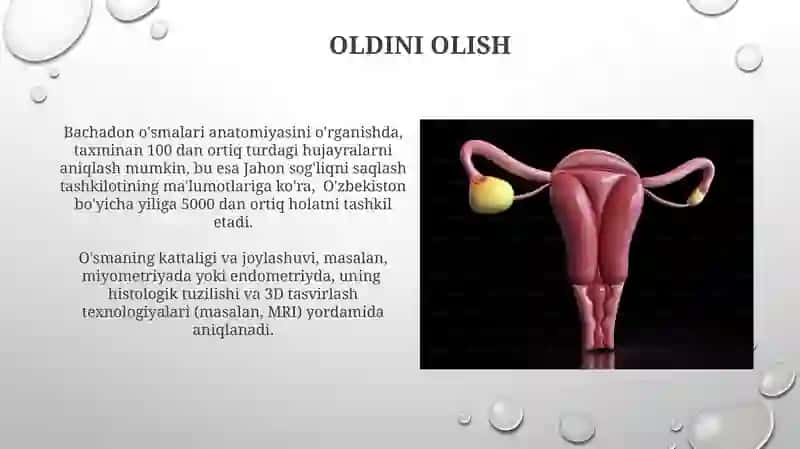 Bachadon oʻsmalari anatomiya 4