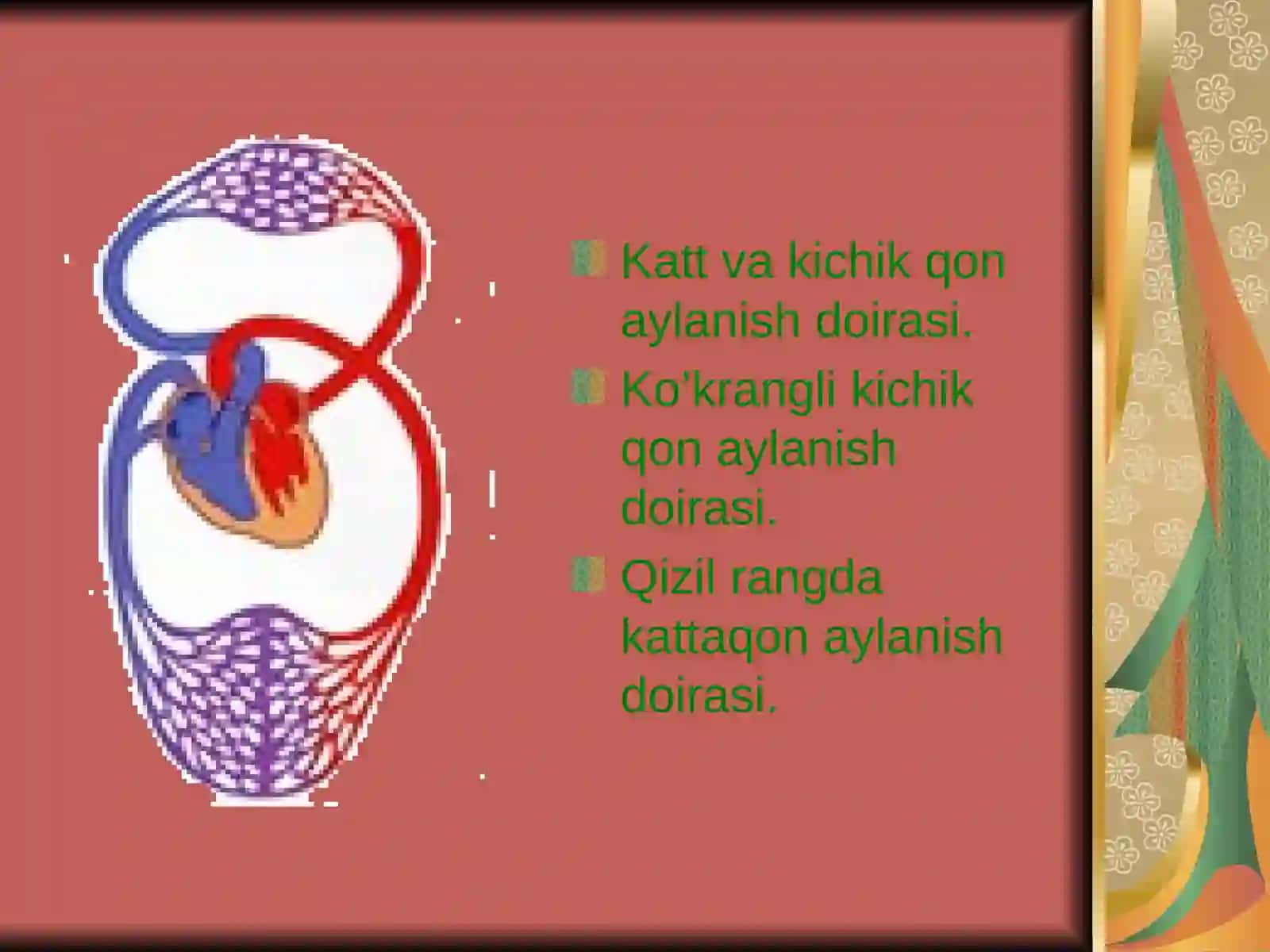 Yurak faoliyatining tovushli belgilari 4