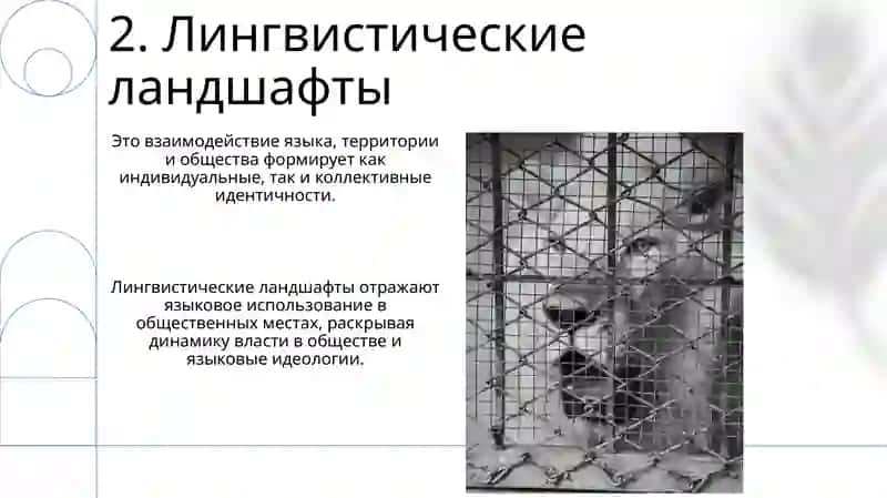 Язык и общество: территориальное варьирование 4