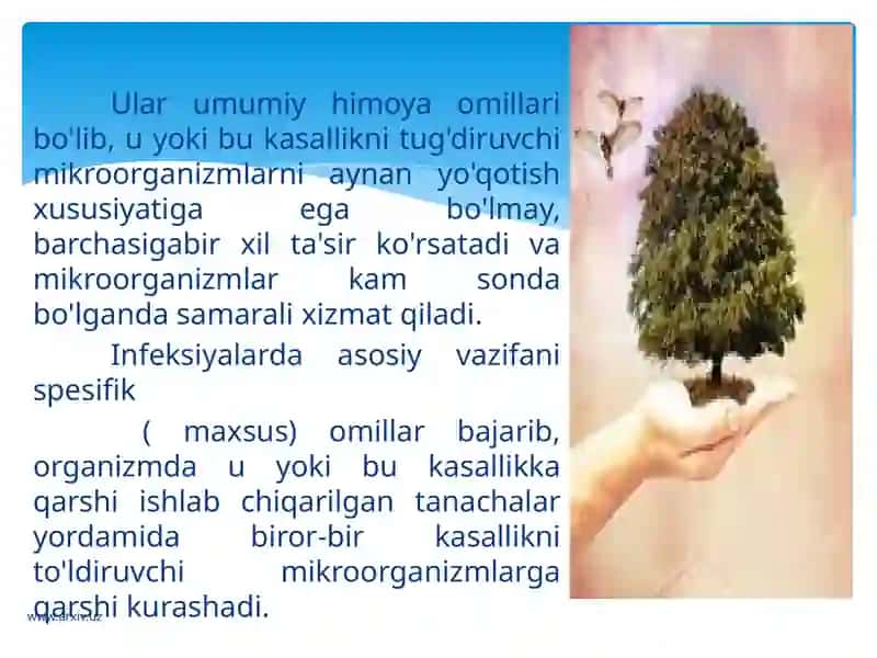 ODAM ORGANIZMININ HIMOYA MEXANIZMLARI 4