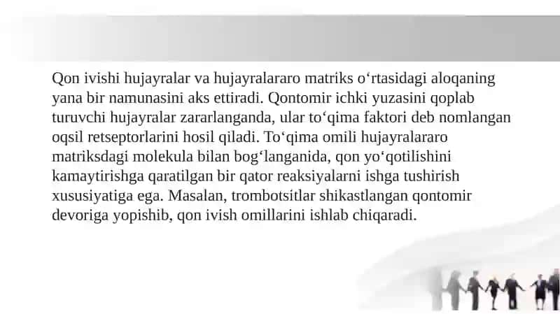 Hujayra va Hujayradan Tashqari Matriks Orasidagi Munosabatlar 4