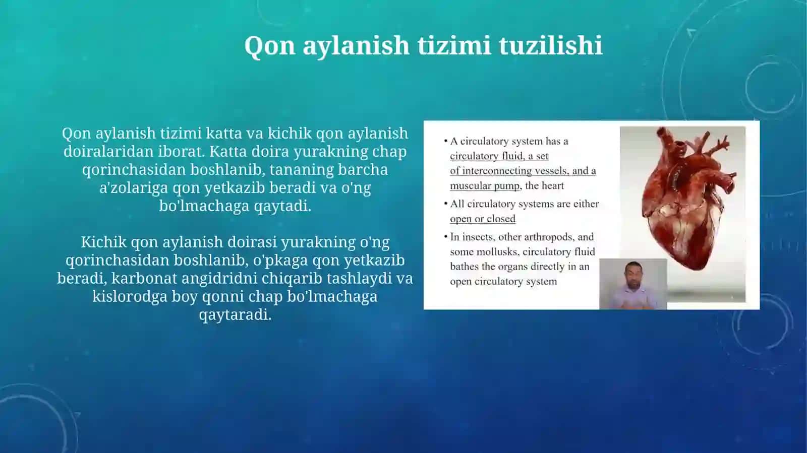 Yurak va qon aylanish doiralari 4