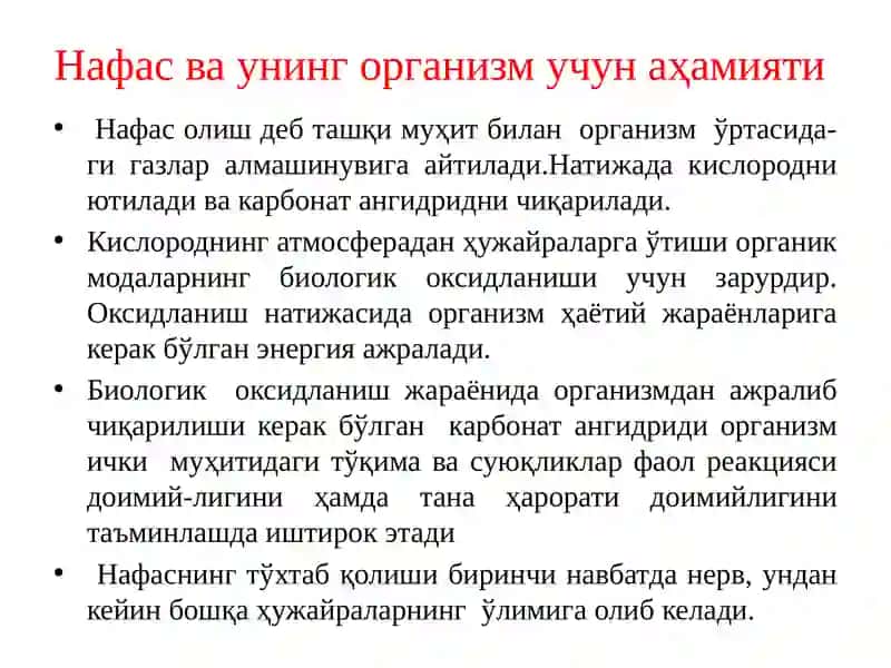 Нафас тизими физиологияси 4