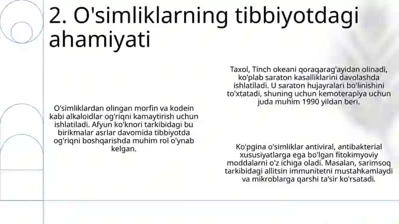O'simliklar dunyosi va hayot tarzi 4