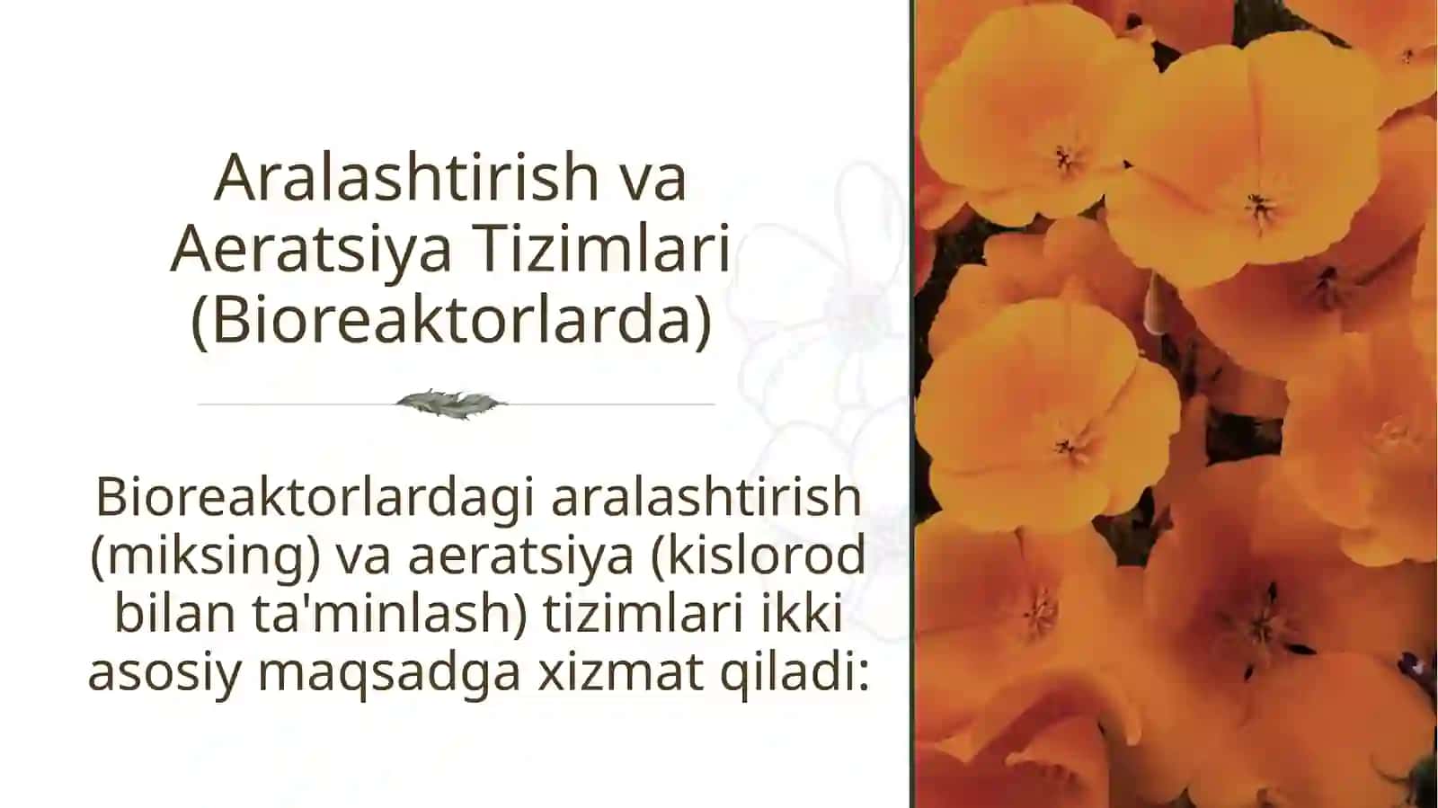 Aralashtirish va Aeratsiya Tizimlari 4