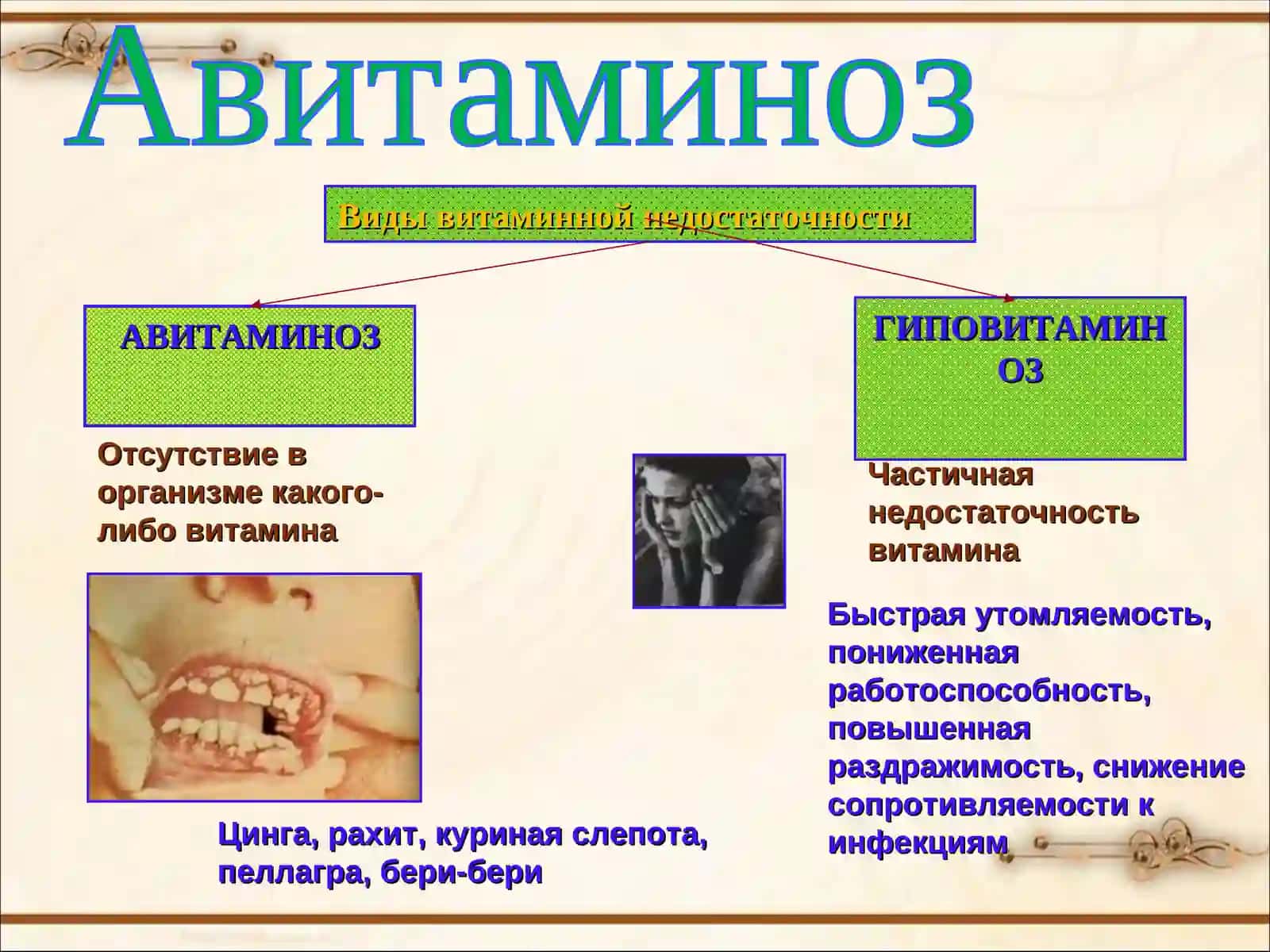 Урок биологии в 8 класс 4
