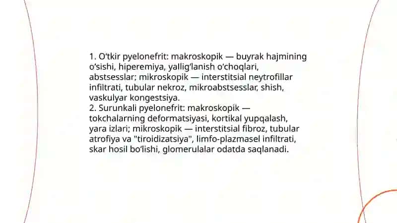 Glomerulonefritlar patomorfologiyasi 4